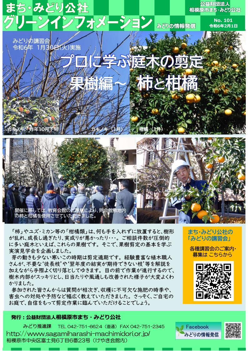 2024　2月号）庭木剪定～果樹編20240130.jpg